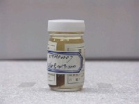 藏品(日本鰟鮍)的圖片